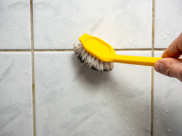 Mold Testing and Removal in Lemon Hill, CA