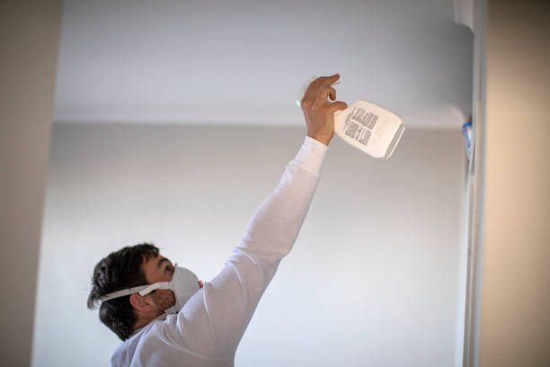 Best Water Damage Restoration  in Lemon Hill, CA