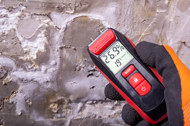 Best Home Mold Removal  in Lemon Hill, CA