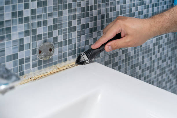 Best Fast Mold Removal  in Lemon Hill, CA