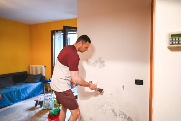 Best Mold Testing and Removal  in Lemon Hill, CA